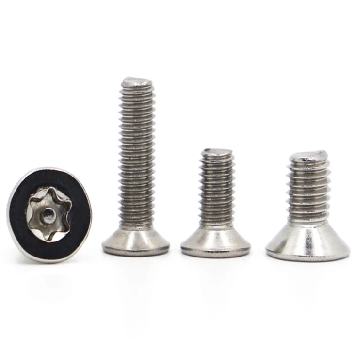 torx anti-theft (6)