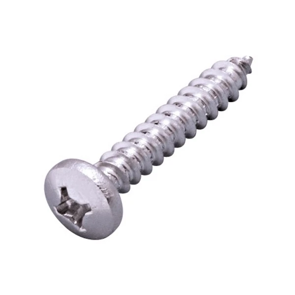 Phillips Head Tapping Screw Phillips Head Tapping Screw