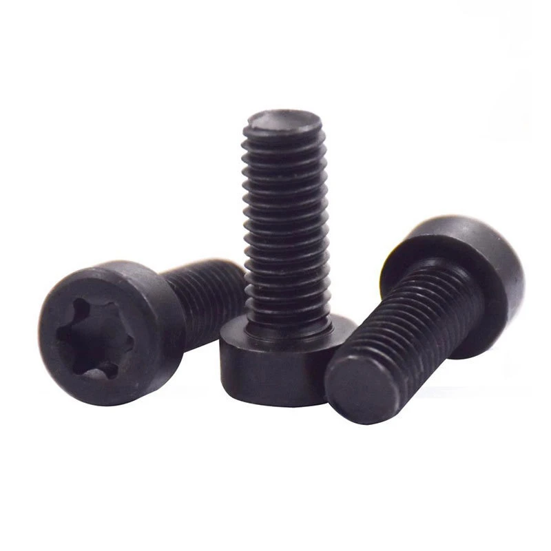 black torx screw 1